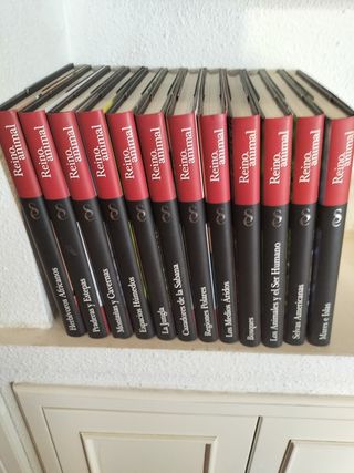 Coleccion Reino Animal