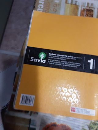 Matemáticas I. 1 Bachillerato. Savia