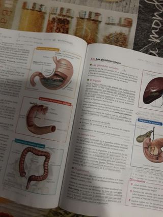 Anatomía Aplicada.