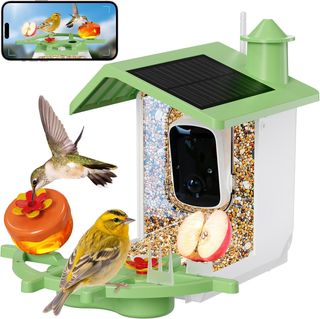 Mangiatoia Uccelli con Telecamera Wi-Fi