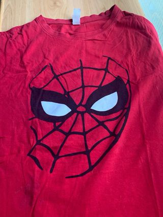 Lote 7 Camisetas Manga Corta Variadas y 1 polo
