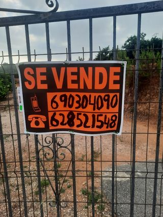 Terreno de naranjos Navelina en venta