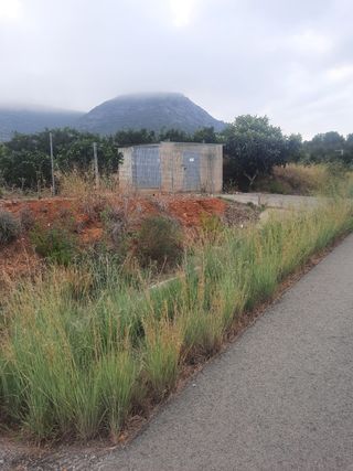 Terreno de naranjos Navelina en venta