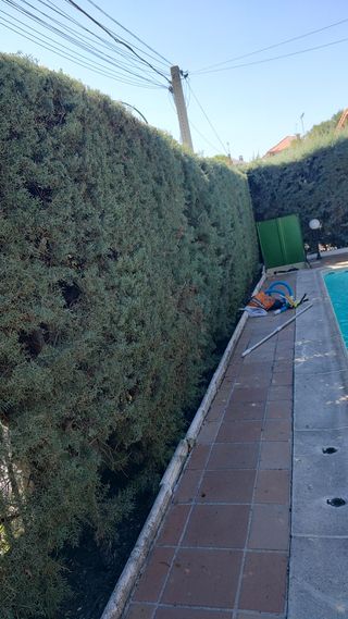 Mantenimiento de jardinería mensual y piscina