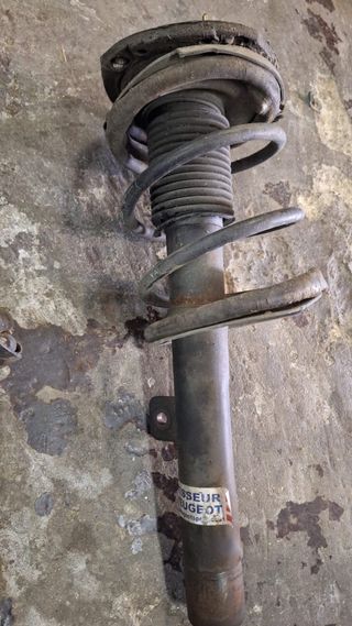 Suspensión PTS Peugeot 206