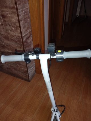 Patinete eléctrico Segway Ninebot ZING C8