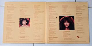 Kate Bush Lionheart Vinile