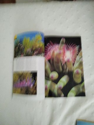 2 revistas. 2002 y 2004