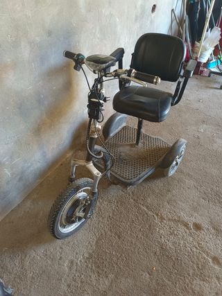 Scooter Eléctrico 3 Ruedas