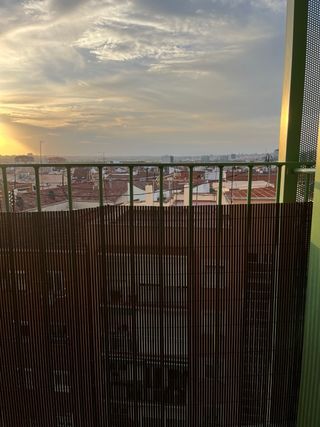 Cañizo plástico marrón 1x3m