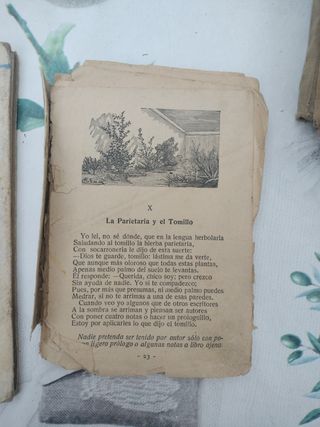 Libros antiguos Lecciones de Cosas y Hijos de Sant