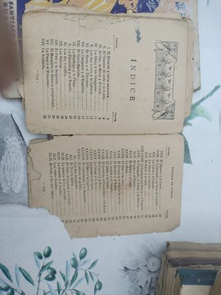 Libros antiguos Lecciones de Cosas y Hijos de Sant