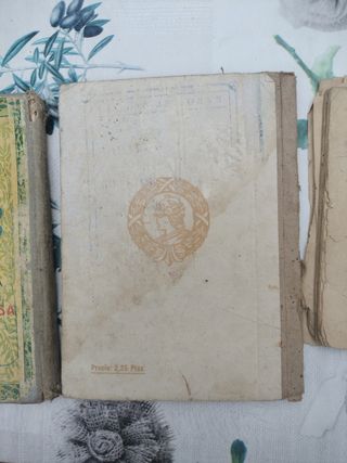 Libros antiguos Lecciones de Cosas y Hijos de Sant