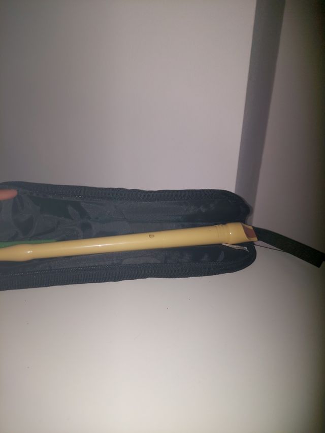 Funda para flauta con diseño