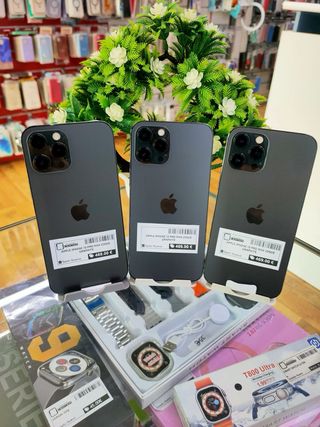 iPhone 12 Pro Max 256GB Grafito