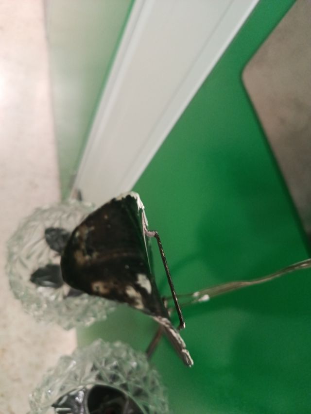 Lámpara Vintage Hoja Cristal