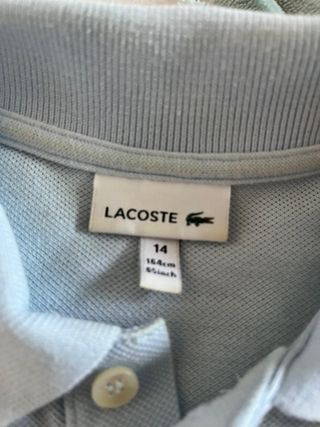 Polo Lacoste Azul Adolescente, talla 14