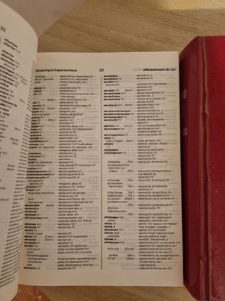 Diccionario español francés y francés español