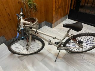 Bicicleta 24