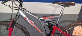 Bicicleta de Montaña