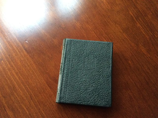 AGUILAR MARIO VARGAS LLOSA . LOS JEFES