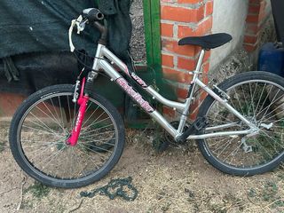 Bicicleta Globe Trotter plateada
