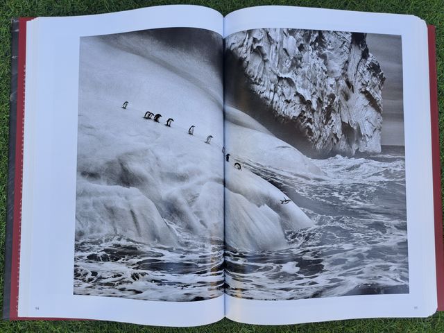 GENESIS DE SEBASTIAO SALGADO TAPA DURA TASCHEN