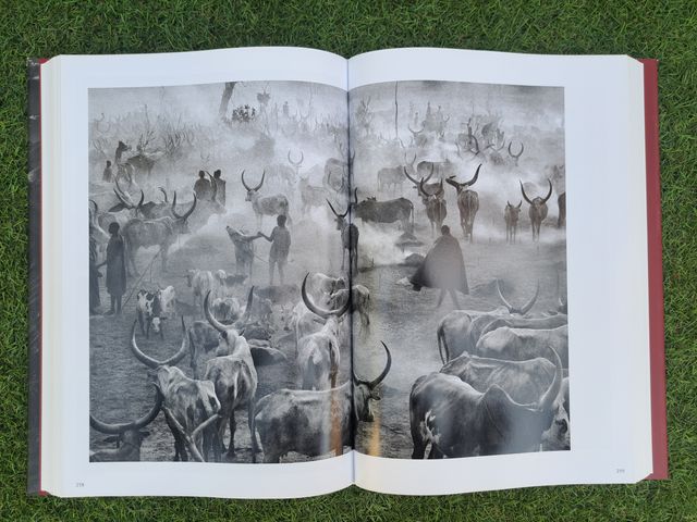 GENESIS DE SEBASTIAO SALGADO TAPA DURA TASCHEN