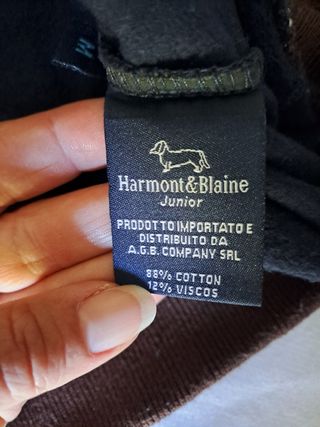 Felpa H&B bambino blu