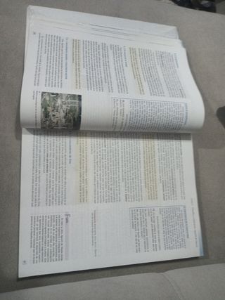 HF (HISTORIA DE LA FILOSOFIA) BACHILLERATO AULA 3D