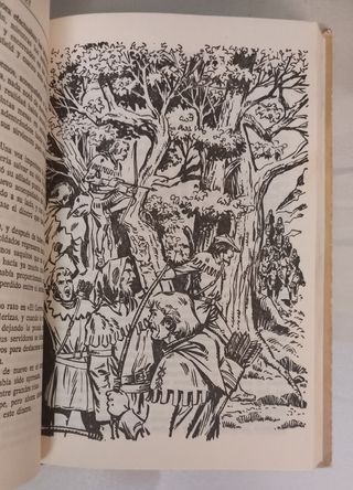 Cuento juvenil ROBIN HOOD años 80