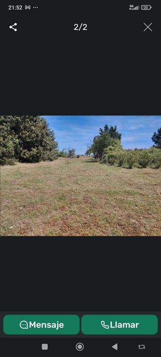 Desbroces limpiezas retirada de malezas