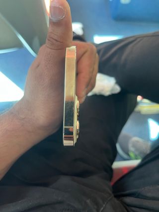 iPhone 13 Pro Max Gold/Silver