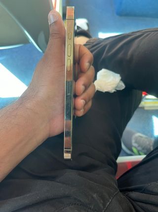 iPhone 13 Pro Max Gold/Silver