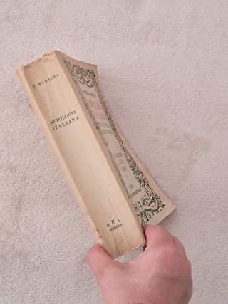 Antologia Italiana per le Scuole Medie Superiori