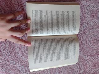 El manuscrito de piedra