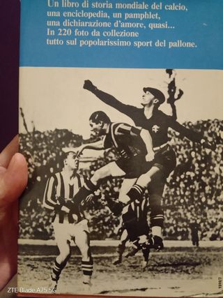 Storia del calcio 