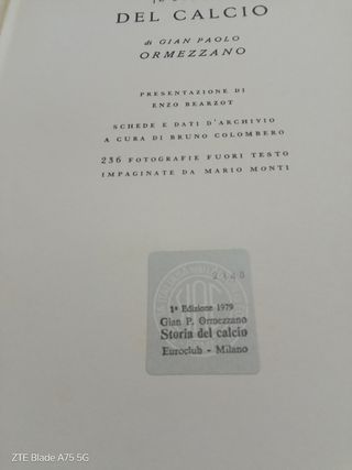 Storia del calcio 