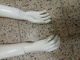 maniquí hombre y mujer brazos 
