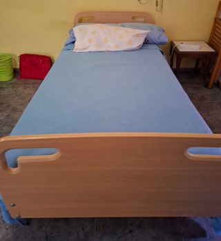 Cama articulada con carro elevado completa