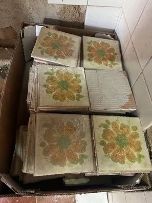 Azulejos Vintage Florales Antiguos (363 unidades)