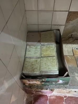Azulejos Vintage Florales Antiguos (363 unidades)