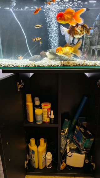 Acuario 80L
