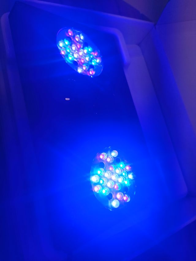 Radion XR30 G4 Pro Pantalla acuario marino Ecotech