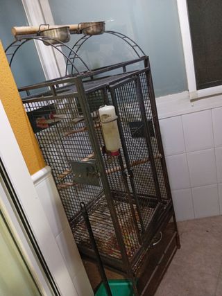 Preciosa jaula para loro