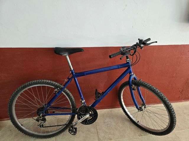 Bicicleta azul para adulto