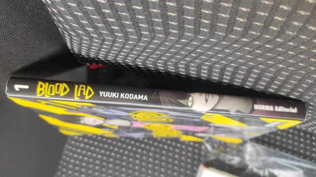 BLOOD LAD 01 (CÓMIC MANGA) (Spanish Edition)