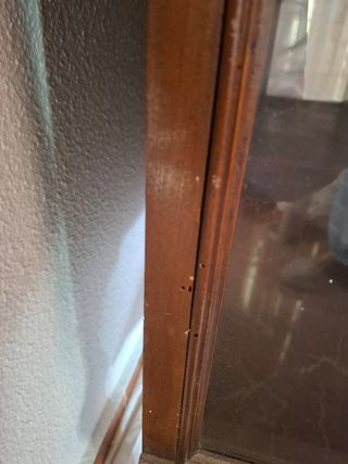Vitrina de madera y cristal