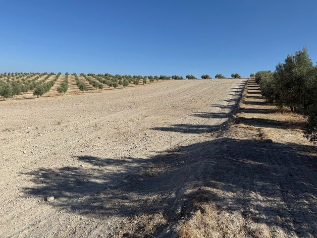 Terreno Rústico en Venta