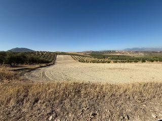 Terreno Rústico en Venta